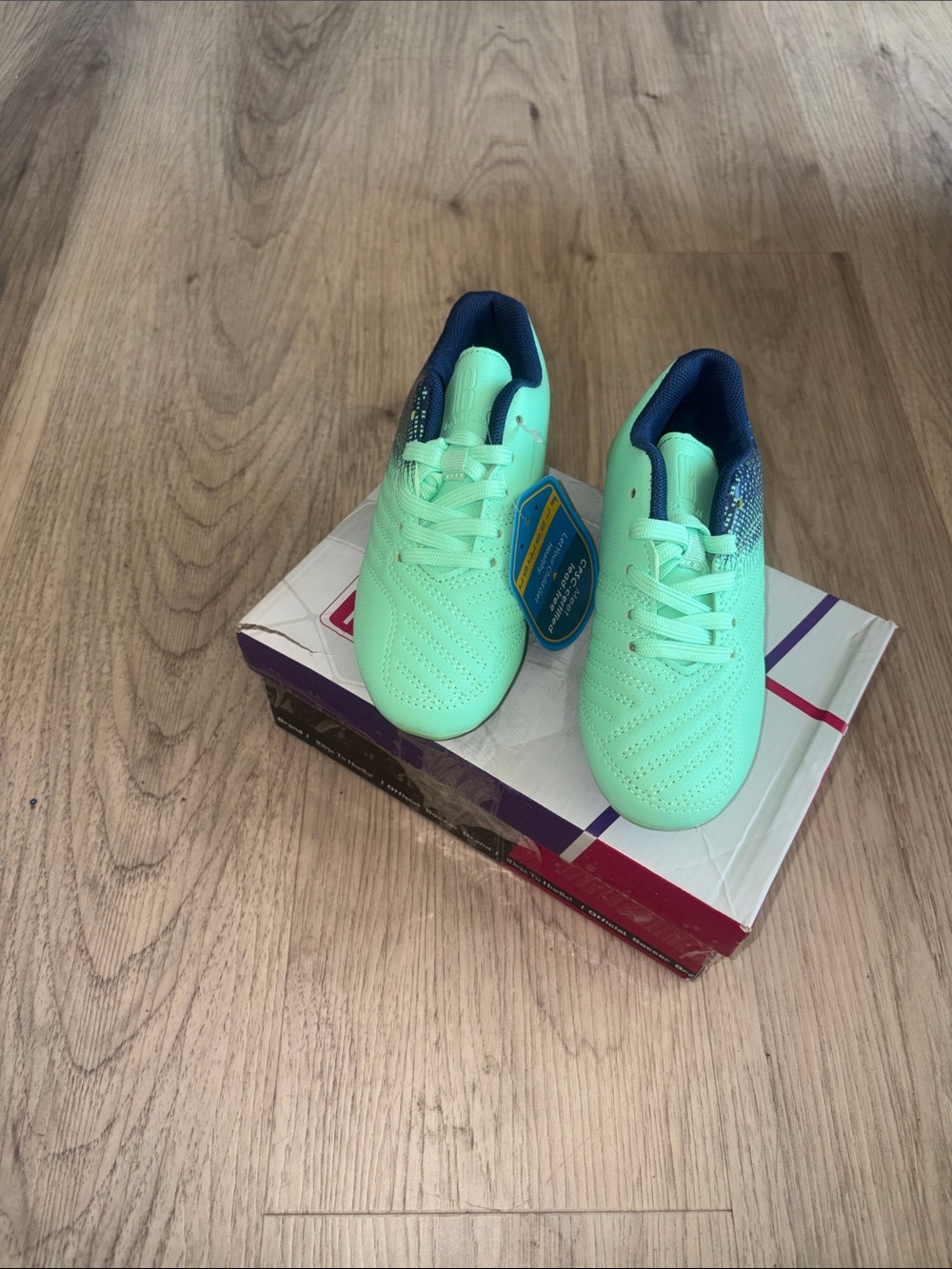 Kids Mint Green Sneakers with Navy Collar - (Brand Unspecified)